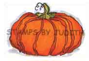 H-247 Sm. Fat Pumpkin